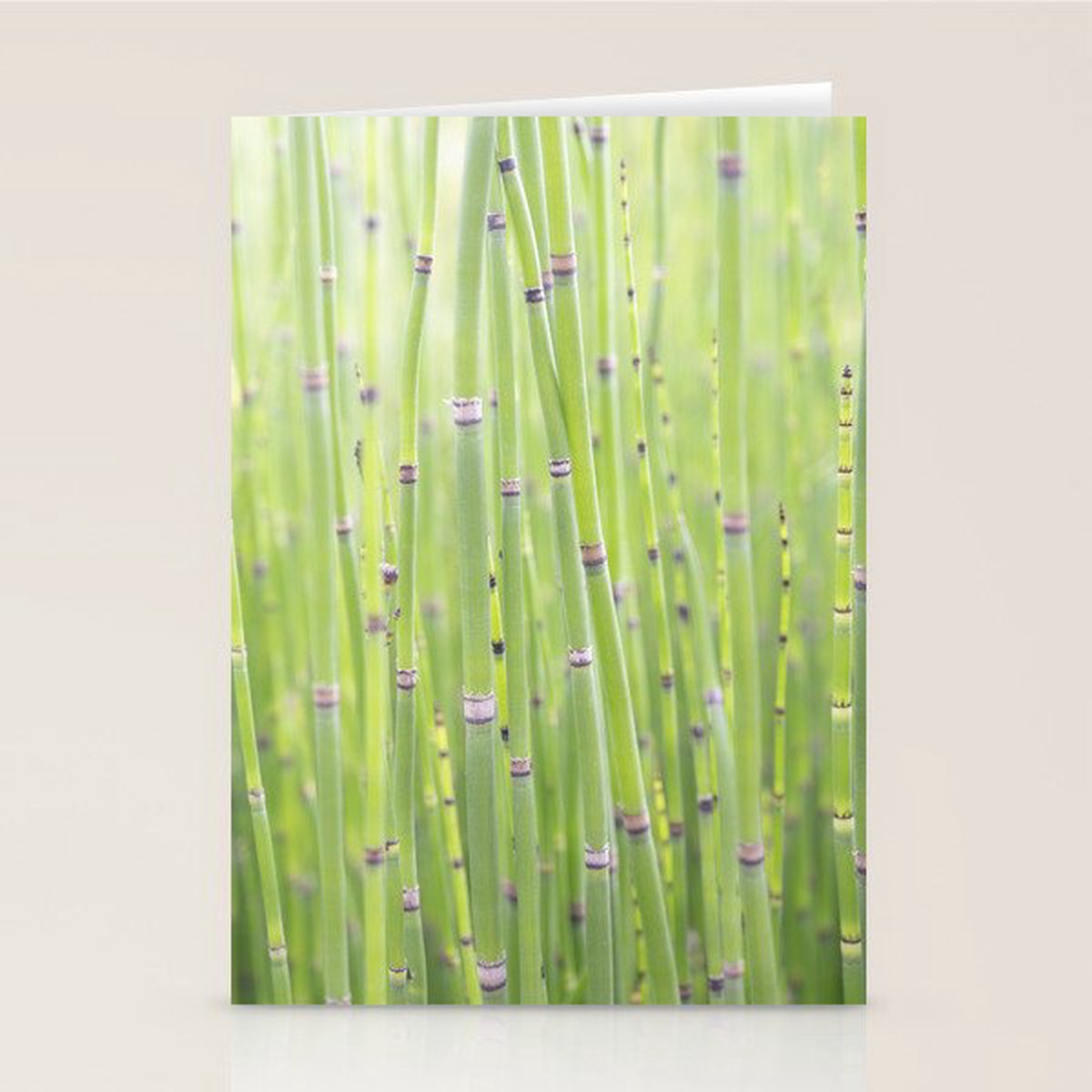 Spring green bamboo - abstract natural plant pattern - botanical photography Stationery Card